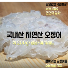 [산지직송] 국내산 자연산 제철 구룡포 오징어회 200g + 회양념 + 야체세트, 1세트