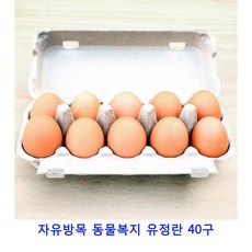 50a22ecc8985b8fc11901682f82f040f7e4e41f0f7a530887247c68be54f.jpg