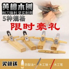 대전가족사진