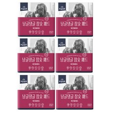 냥글댕글 미끄럼 방지 논슬립 국산 참숯 애견 배변패드, 120매, 120매