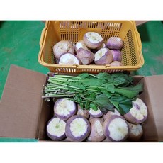 강화순무(강화농부) 순무10KG, 38000