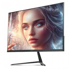 (포) 비트엠 Newsync U240H 엣지 HDR, 1