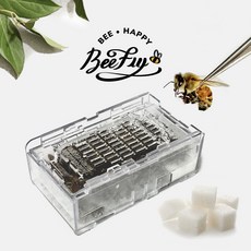 비플라이 건강한 벌침 벌침용벌 봉침 꿀벌 +먹이서비스, 70-80마리, 1통