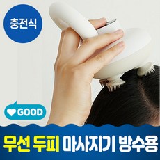 두피관리기기