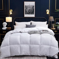 조선호텔구스다운이불세트