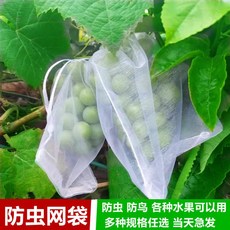 샤인머스켓 재배 방충 봉투 망사 과일 20장 50장, 1개