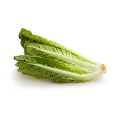 ce24c49f900bd0d89d001b2bd64a109267d1a50795eeec4b22d9aacf82de.jpg