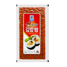 CJ제일제당 대림 숯불구이맛김밥햄 100g 10개