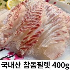 통영 신선함이 살아있는 탱글탱글 활 참돔 필렛 횟감 400g, 1개