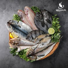 동해바다회종류