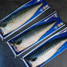 스타부르고등어