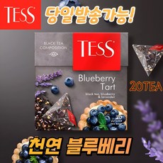 테스 블루베리 과일 허브티 홍차 삼각티백 TESS BLUEBERRY TART, 1개, 20개입, 1.8g