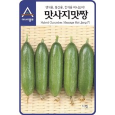 간식용 오이 씨앗 맛사지맛짱 10 립 미니 종자 종묘 모종, 1개