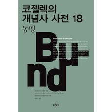 코젤렉의개념사사전