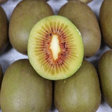 제주 레드키위 2.5kg 4.5kg 홍키위 빨간키위 산지발송 제주키위 (소 중 대 특), 1박스, 제주 레드키위 중과 4.5k 60과내외