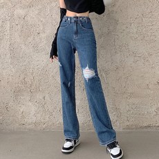 디스트로이드진