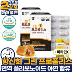 만성 염증 제거 항산화 그린 포리폴리스 2상자 초록 비 프로 폴리 폴리스 효과 효능 브로콜리 호주 애플트리 김약사네 플라보노이드 면역력 활성산소억제 홈쇼핑 환절기 식물성 캡슐