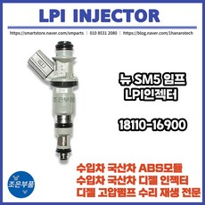 lpi인젝터