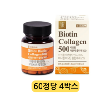 비디컬 비오틴 저분자 피쉬 콜라겐 500 펩타이드 엘라스틴 캡슐 영양제, 4정, 60개