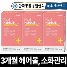 펫생각 데일리케얼 고양이 헤어볼 영양제 효소 콜라겐 식이섬유 소화 구토 효모 그루밍 영양 보조제 60g, 3박스, 3박스