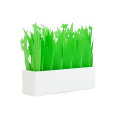 7f577b2240120000930017b273e4e7186f6ed448729846605182489d4d07.png