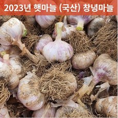 남해통마늘5kg