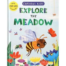 Explore the Meadow (Curious Kids), Little Tiger Press