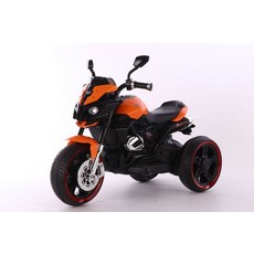 레인지로버이보크전동차