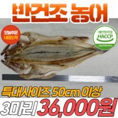 여수에서제주항공권-추천-상품