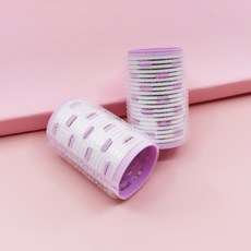 툴리프