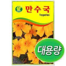 만수국 100g 대용량 꽃씨, 1개