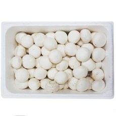 (신선) 양송이 1box (2kg) 국내산 button mushroom