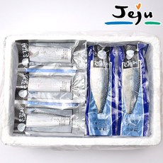 제주 수산세트 갈치220g4팩 +고등어살100g10팩 선물세트, 1개