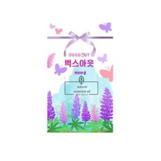 벅스아웃
