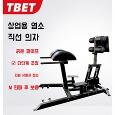 하이퍼익스텐션 백익스텐션 허리 코어 허리운동기구 코어운동기구