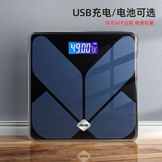 비스카전자저울