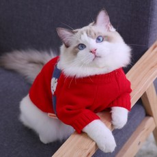 애견의류 고양이 옷 가을 따뜻한 파란색 인형 강아지 새해 애완 동물 스웨터 애견의류