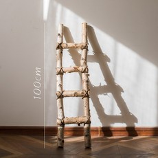 부산프리저브드플라워자격증