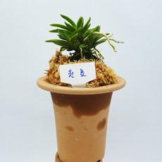 aacb8ae618e0bbb0da72ce9f37f794b6bf332f22c3472316edd0c01567be.jpg