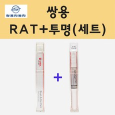 페인트팝