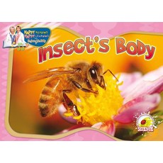 (영문도서) Insect's Body Paperback, Rourke Educational Media, English, 9781615902316