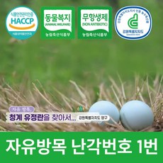 [에덴농장] 자유방목 난각번호 1번 동물복지 무항생제 청계란 백봉 오골계란 유정란 20구/30구 (산지직송) [원산지:국산(강원도 양구군)], 청란, 20구, 1개