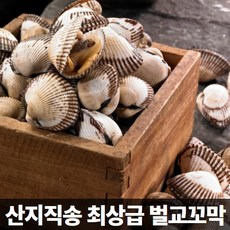 벌교통꼬막장