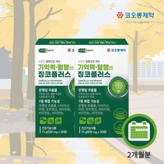 단기기억