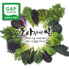 조아쌈 GAP 모듬 쌈채소 샐러드 야채 수확 발송 상주 로메인 겨자 케일 외10종이상, 1개, 모듬쌈 500g