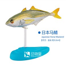 우리바다어류도감