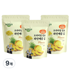 영양만점 All바른농장 프리미엄 동결건조 파인애플칩 20g 9개