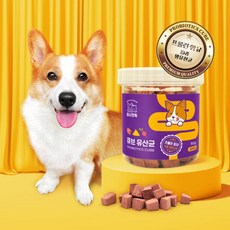 아트박스/마시캣독 큐브 강아지 유산균 영양제 1통 (복수구매시 할인), 1개