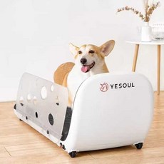 강아지런닝머신 운동 재활 펫 러닝 저소음 기구 훈련 다이어트 비만 실내 반려견 반려동물