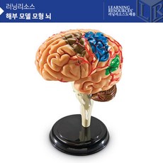 4a96a75f4003921eb9e40eefd295d2dd772ce3e90d25c0a08e6782d7e58f.jpg